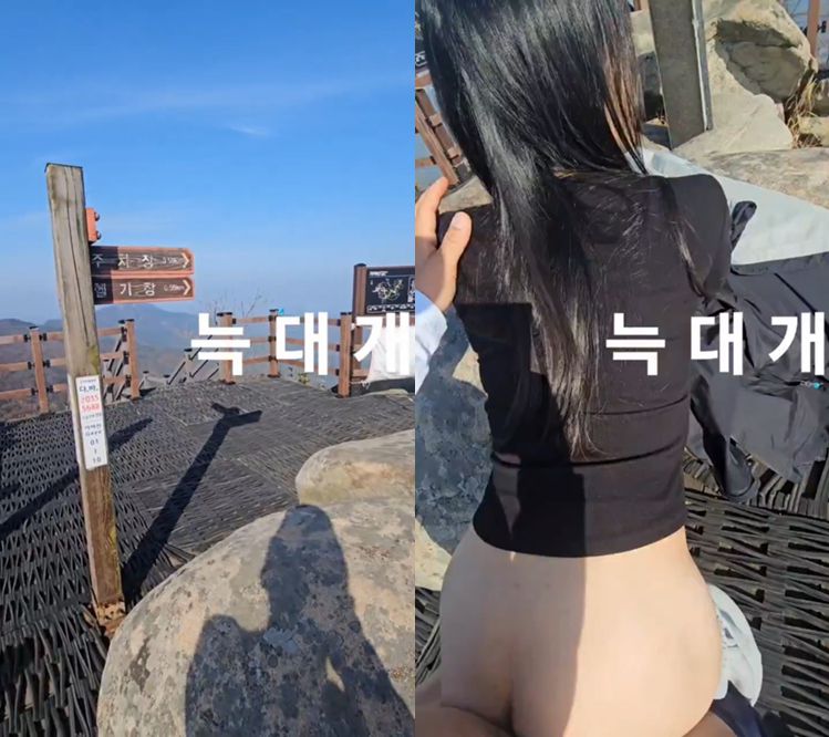 늑대개